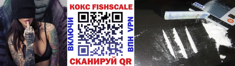 мега tor Котельнич Кокаин Fish Scale сколько стоит