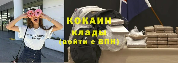 МДПВ Каменногорск