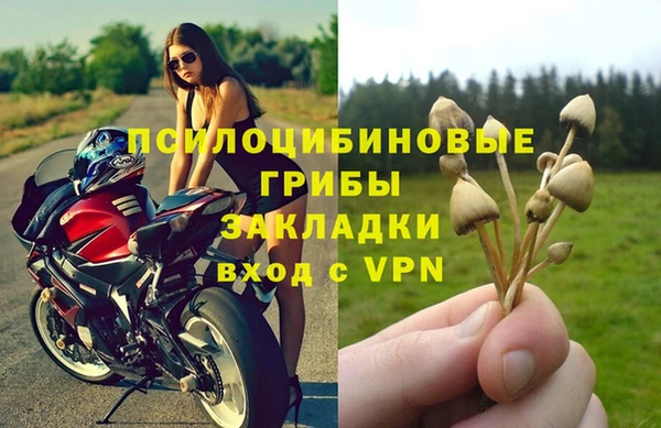 МДПВ Каменногорск