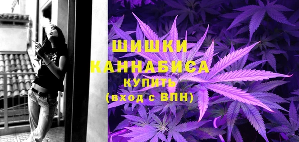 прущая мука Каменка