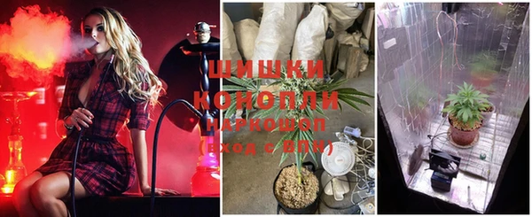 МДПВ Каменногорск
