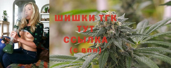 прущая мука Каменка