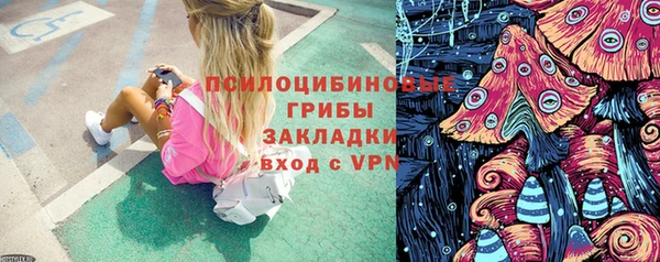 стафф Каменск-Шахтинский