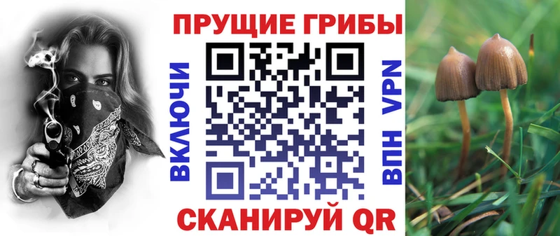 площадка Telegram  Котельнич  Галлюциногенные грибы мухоморы 